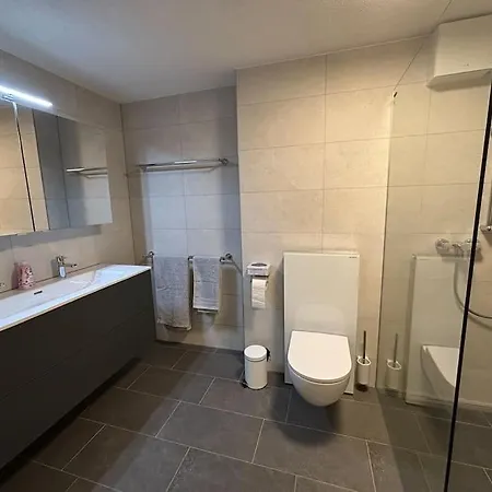 Ferienwohnung Rossmatta Appartement Fiesch